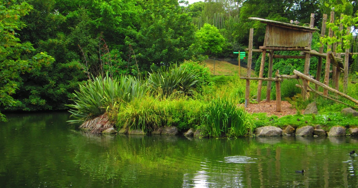 An idyllic enclosure in Dublin Zoo.