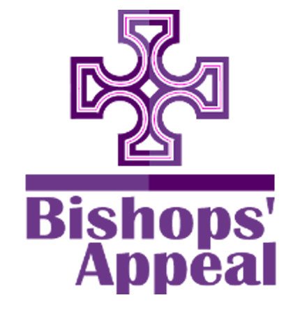 General Synod welcomes Bishops’ Appeal relaunch but votes against name change