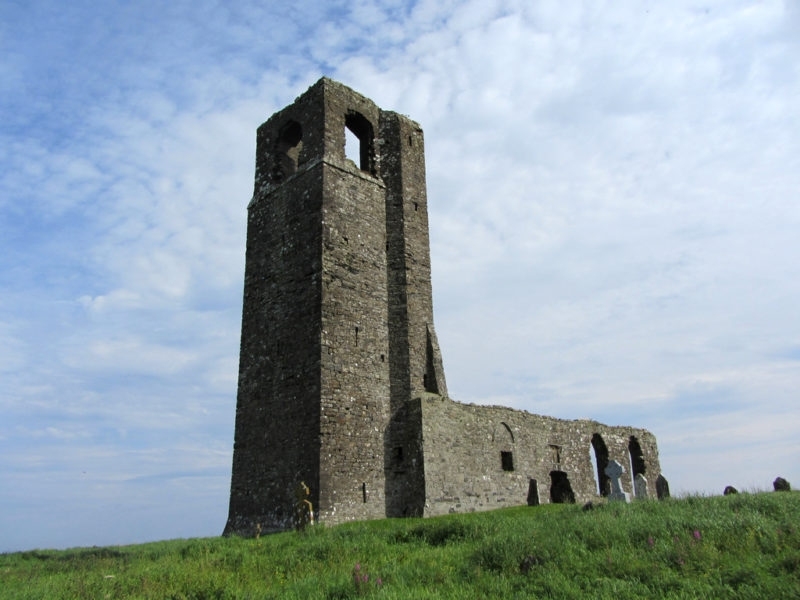 Screen medieval church ruin. The west tower was both the residence of the medieval clergyman and also served as a belfry. Drawings of the 19th glebe house are bound up in the parish collection. See https://www.ireland.anglican.org/news/6374/the-meath-diocesan-archive