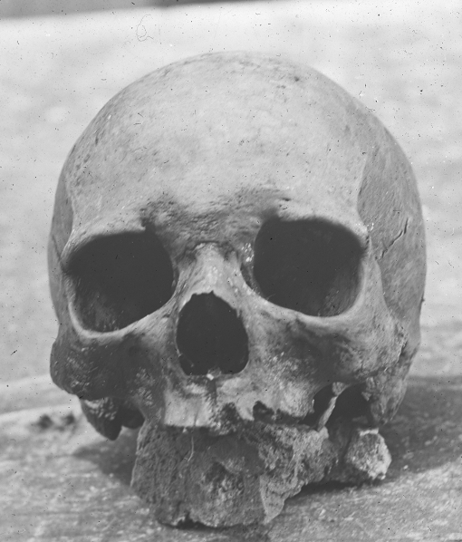 A photograph of a skull. As noted in the article, there is specific mention of photographs being taken in St Michan's of a skull.