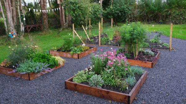 The colourful garden created at Belleek Primary School.