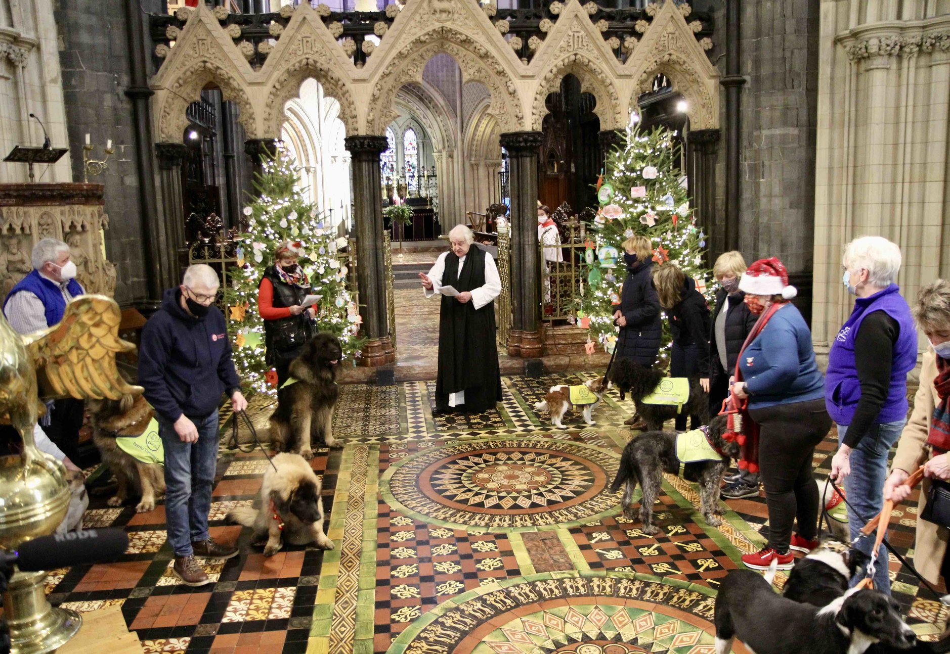 Archbishop Michael Jackson blessing the dogs during the Peata Therapy Dog Carol Service.