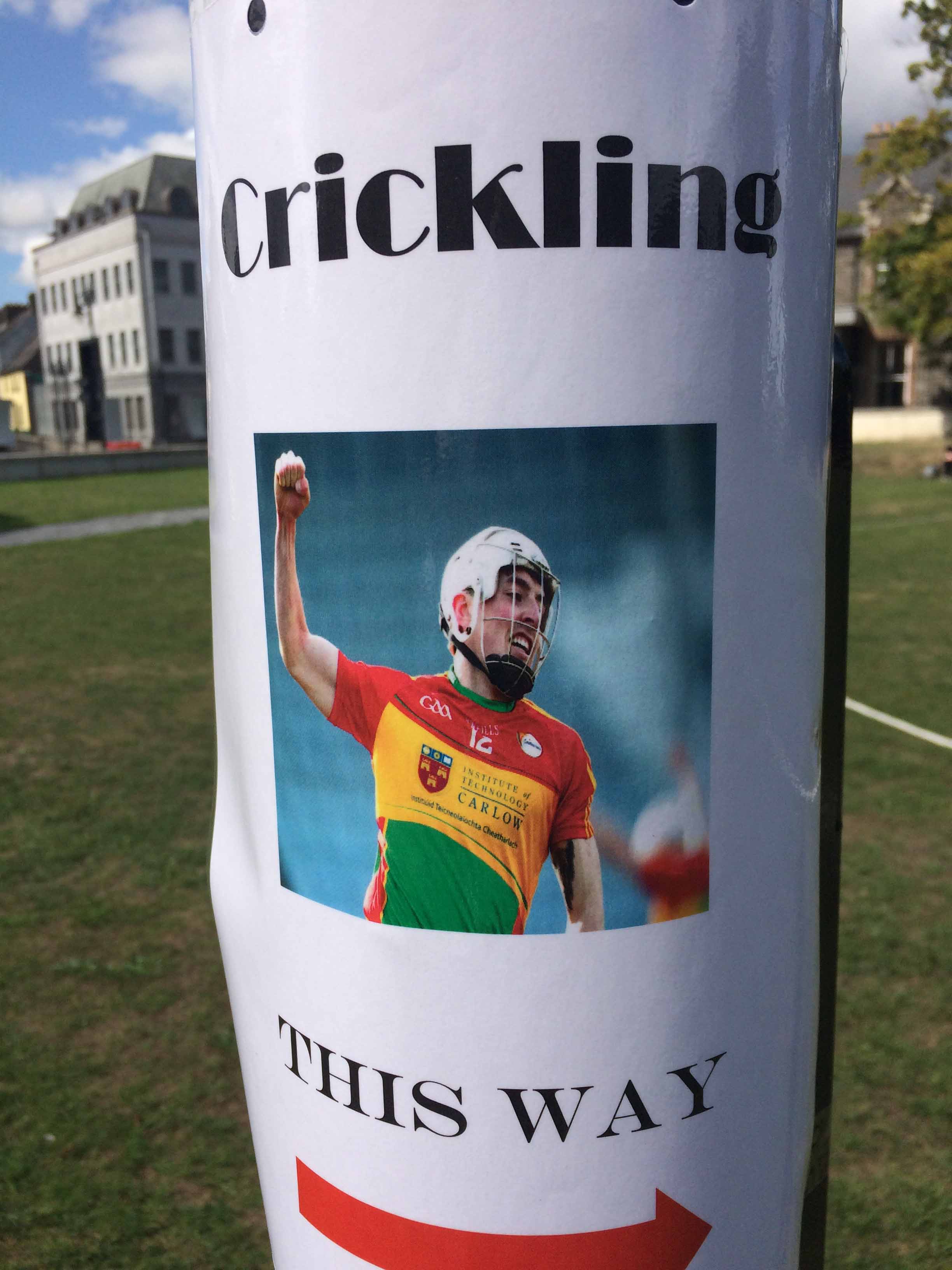 Crickling - a blend of cricket and hurling.