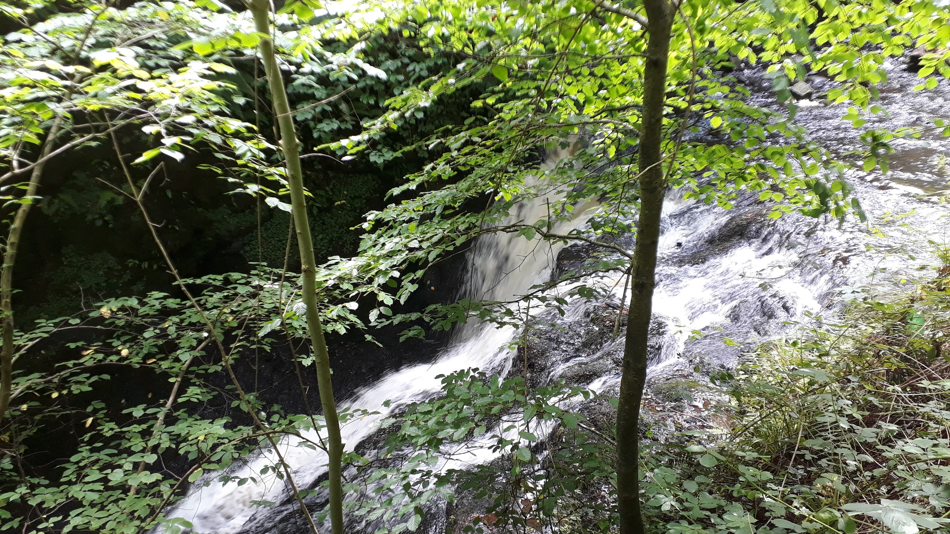 Part of the Glenoe Waterfalls, near Larne.